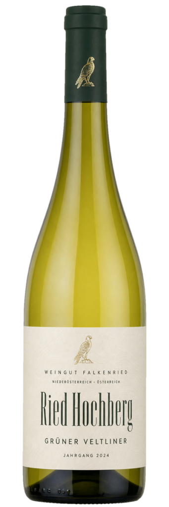 Grüner Veltliner Ried Hochberg 2024 vom Weingut Falkenried